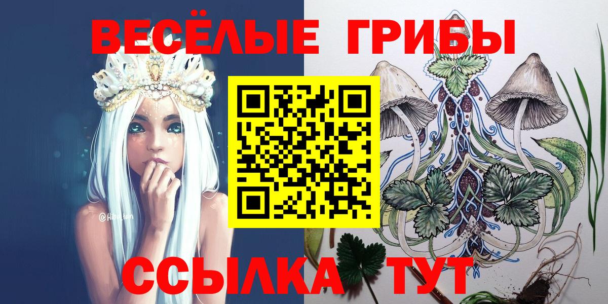 Псилоцибиновые грибы Psilocybe Воркута